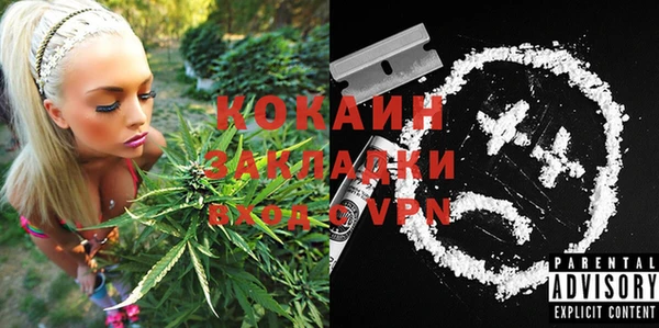 spice Алзамай