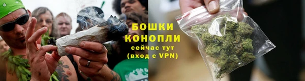 бошки Надым