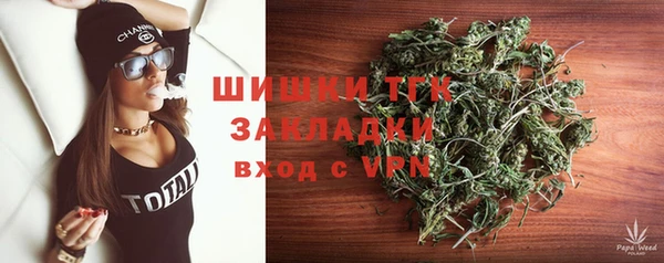 твердый Алексеевка